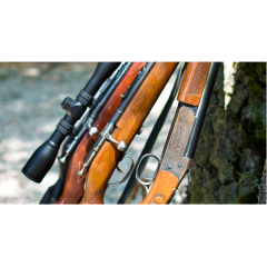 rifles